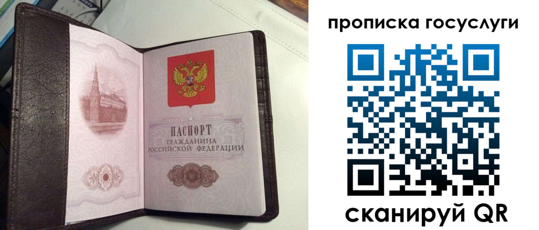 временная прописка в Кореновске